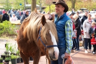 Pferd Martin