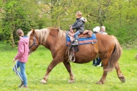 Reiten