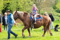 Reiten