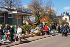 pflanzenmarkt2