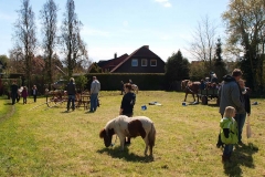 wiese3