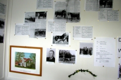 Ausstellung Reitsport