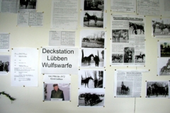 Ausstellung Reitsport