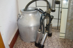 Ausstellung