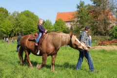 Pferd Martin