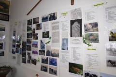 Ausstellung