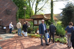 Pflanzenmarkt