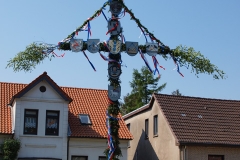 Maibaum Sillenstede