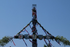 Maibaum Sillenstede