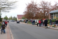 Pflanzenmarkt