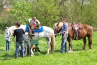 Reiten