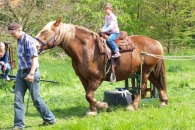 Reiten
