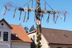 Maibaum