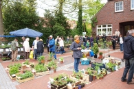 pflanzenmarkt2