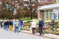 pflanzenmarkt5