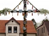 maibaum