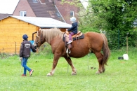 Reiten auf Pferd Martin von Hinrich Neumann