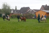 Ponyreiten - Pferdehof Schütte