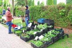 Pflanzenmarkt
