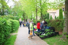 Pflanzenmarkt