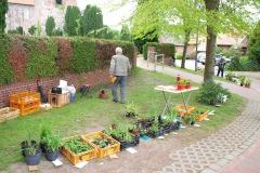 Pflanzenmarkt