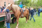 Reiten auf Pferd Martin von Hinrich Neumann