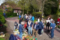 Pflanzenmarkt-2