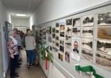 Ausstellungflur2