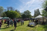 Festwiese1