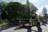 Maibaum1web