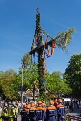 Maibaum5web